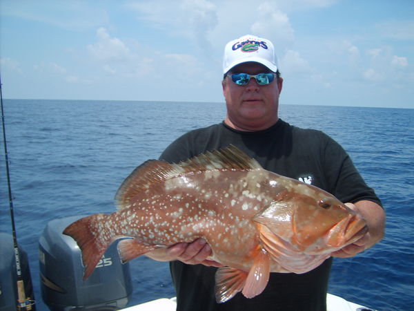 Offshore Hustler Deep sea Fishing Charters