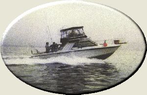 Charter Image