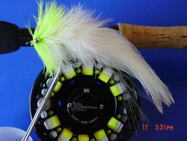 Sightfishing Everglades and Biscayne Bay