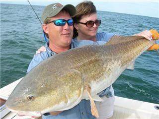 Fish the Fort Myers, Naples area in the Gulf.
