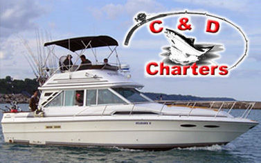 Charter Image
