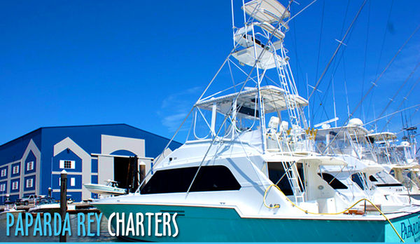 Charter Image