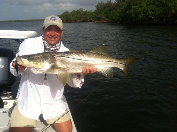 Inshore Fishing with Snook Stamp Charters